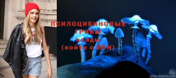 apvp Абинск