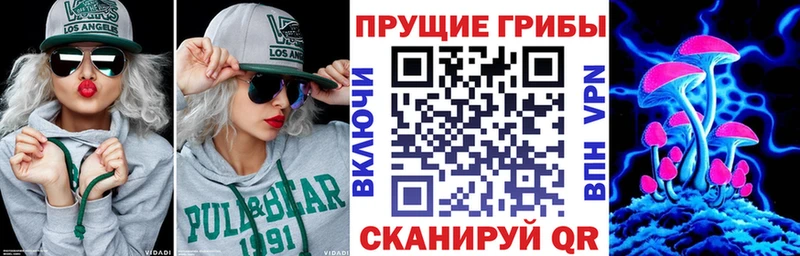 купить наркотики цена  Каменск-Шахтинский  Галлюциногенные грибы ЛСД 